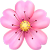 cherry-blossom