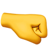 right fist