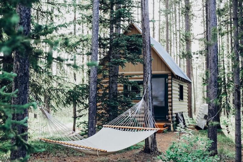 hammock in a forest